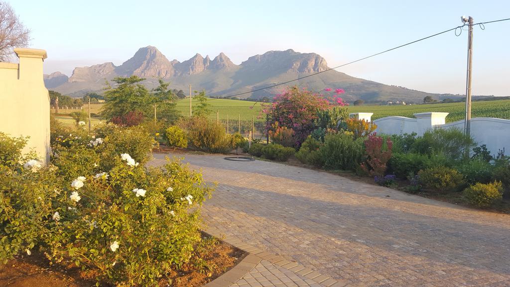 Dieu Donne Stellenbosch Exterior foto